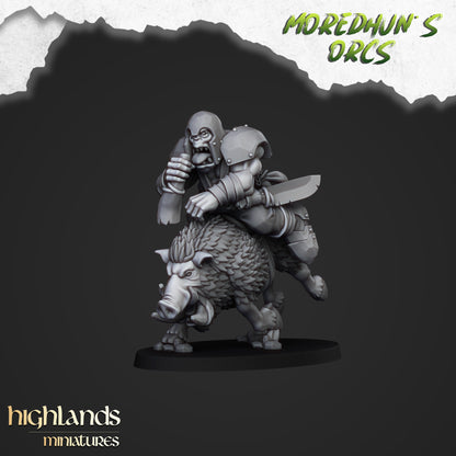 Orks auf Wildschweinen