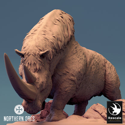 Ork-Nashorn - Lauf