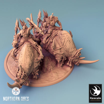 Ork-Nashorn - Zusammen