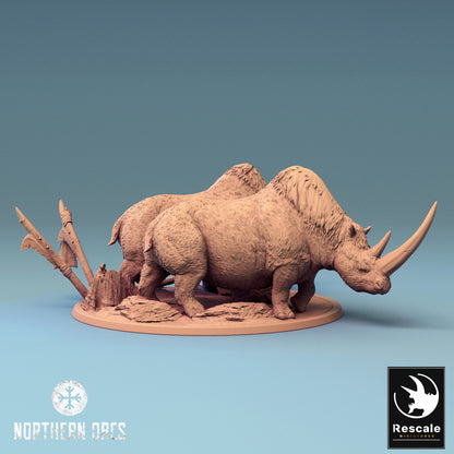 Ork-Nashorn - Zusammen