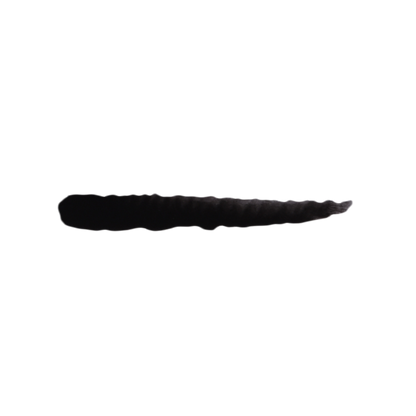 Scalecolor Schwarz - 17ml