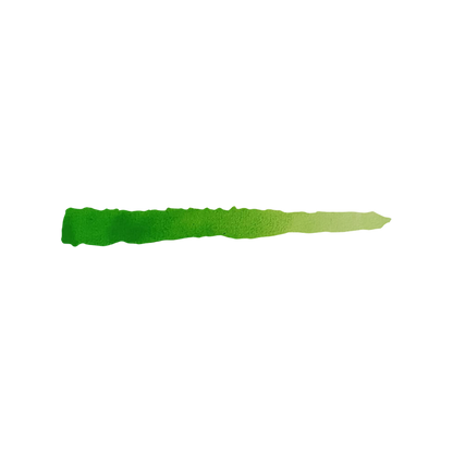 Scalecolor Inktense Limette – 17 ml