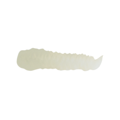 Scalecolor Birke - 17ml