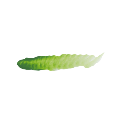 Fantasy &amp; Games Slimer Grün - 17ml