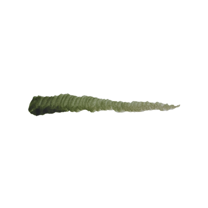 Sofort färbende Zucchinihaut