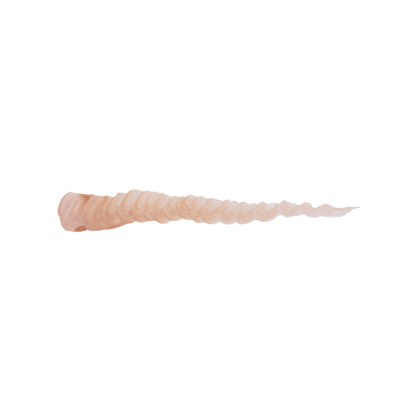 Sofort gefärbtes menschliches Fleisch