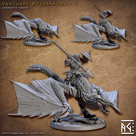 Wyvern-Reiter C