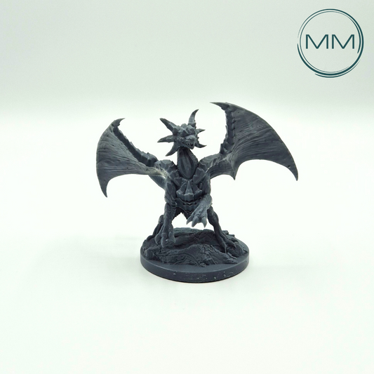 Drachenmagier