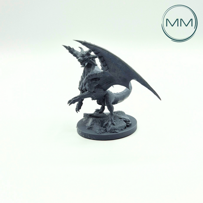 Drachenmagier