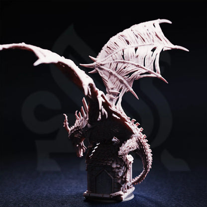 Shingorion