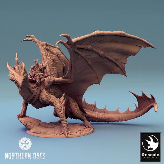 Silberner Drache – Gelandet