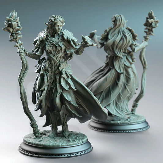 Synoria