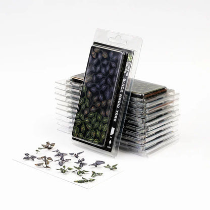 Black Magic Taro - Laser Plants