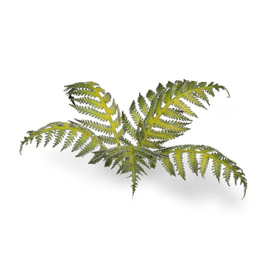 Bracken - Laser Plants