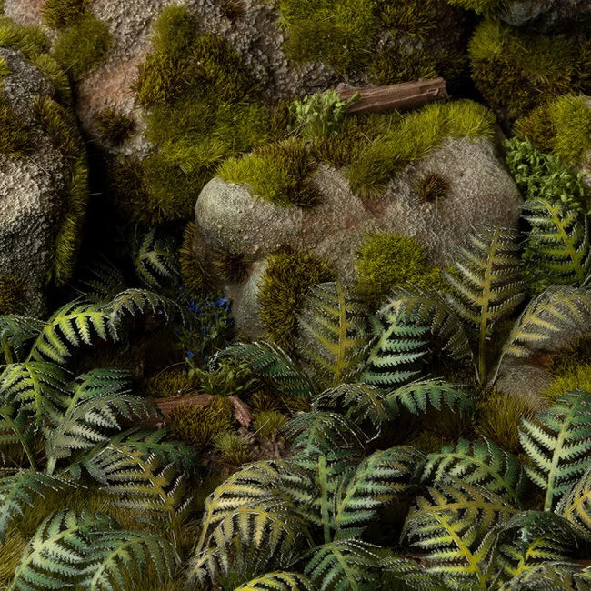 Bracken - Laser Plants