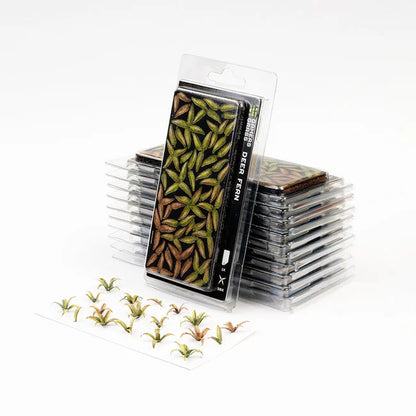 Deer Fern - Laser Plants