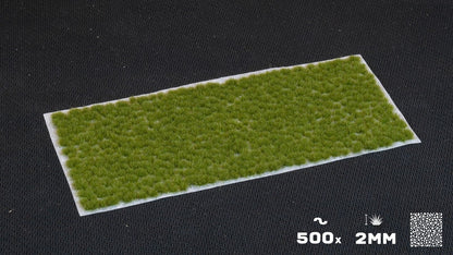 Winzige trockene grüne Büschel wild 2mm