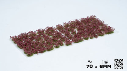 Dunkelviolette Blüten