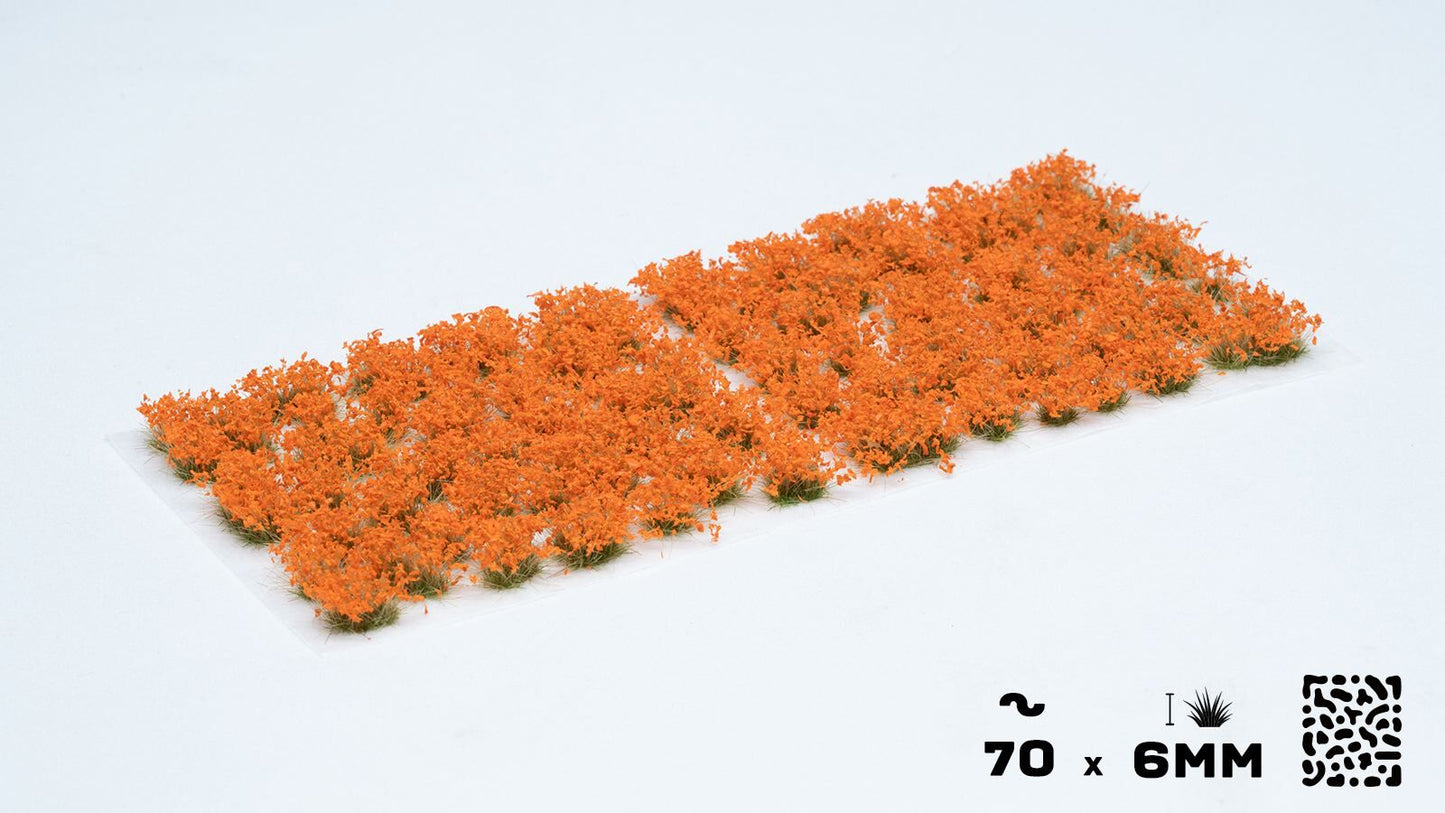 Orange Blumen