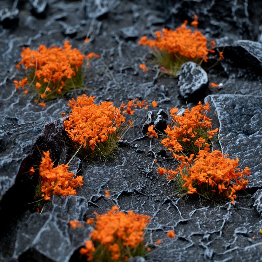 Orange Blumen