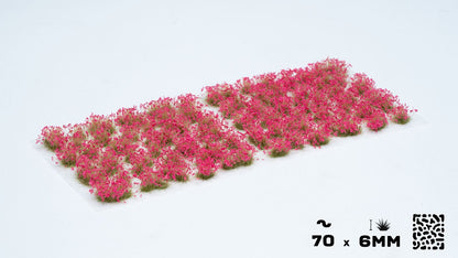 Rosa Blumen