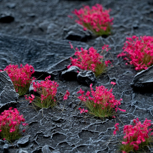 Rosa Blumen