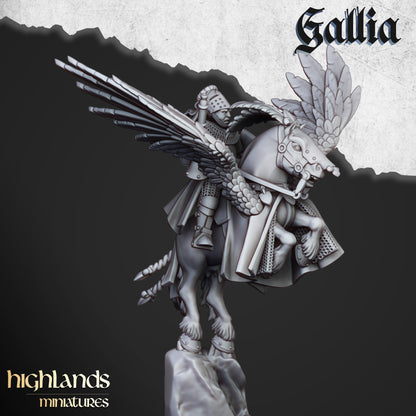 Ritter auf Pegasus
