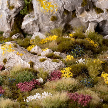 Wildblumen-Set
