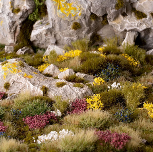 Wildblumen-Set